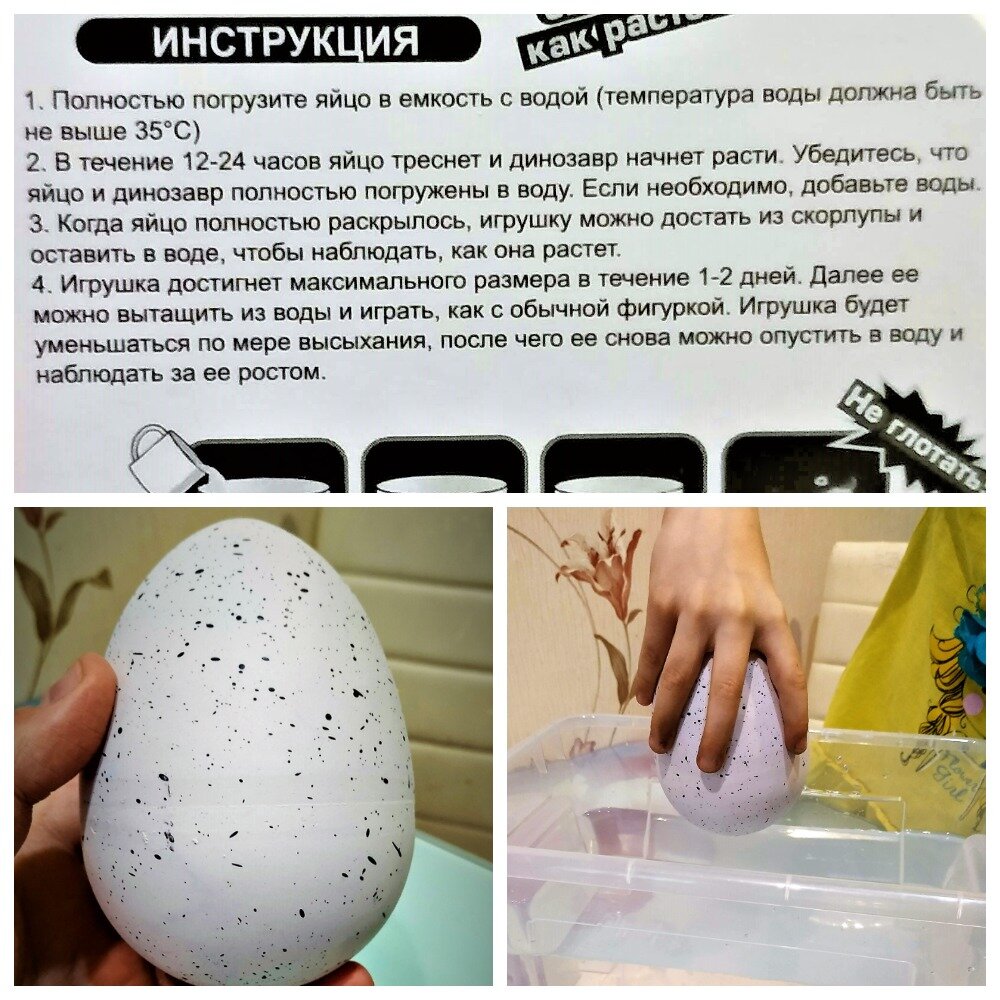 Вырасти яйцо. Игрушка из яйца вылупляется в воде. Яйцо которое вылупляется в воде инструкция. Яйцо с игрушкой вылупляется в воде. Растущее яйцо в воде инструкция.