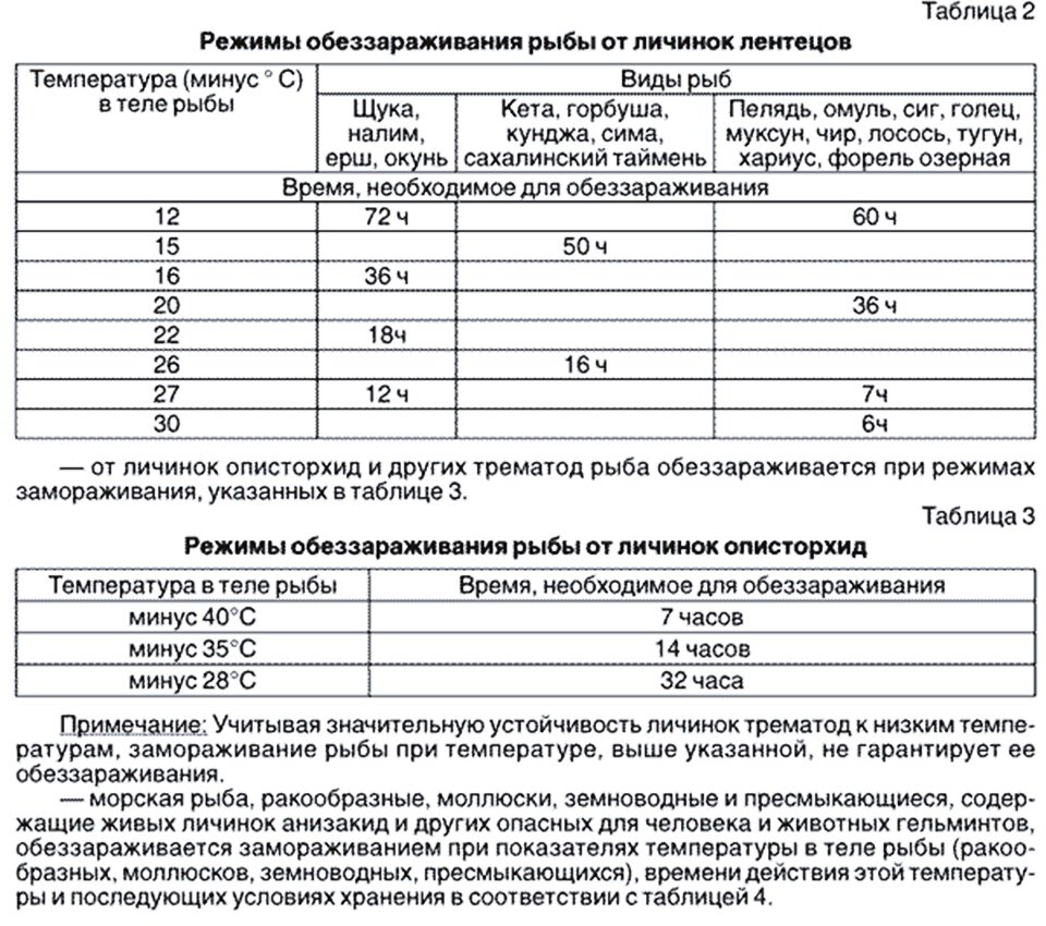 Режимы обеззараживания рыбы от личинок лентецов. Таблица заморозки рыбы от описторхоза. Вымораживание рыбы от описторхоза. Режимы обеззараживания рыбы от личинок описторха.