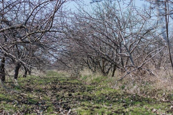 Источник: wikimapia.org