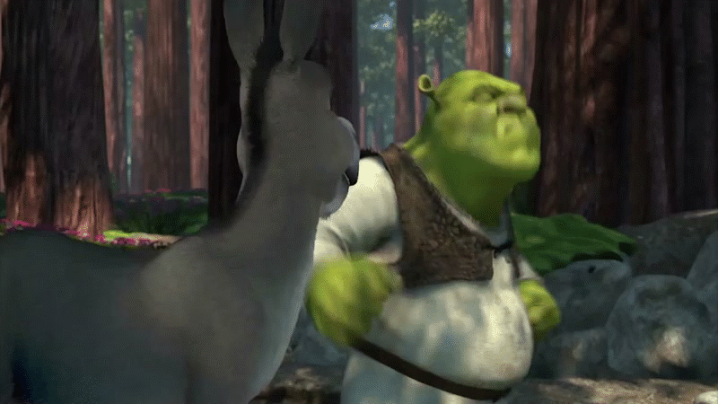 Фрагмент из мультфильма «Шрек»