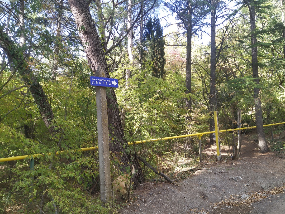 По дороге ко дворцу