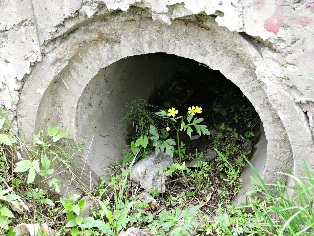 Павловский Посад. Фото Юлии Руденко.