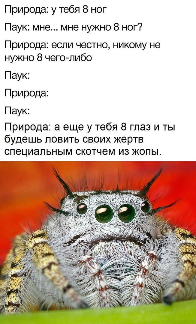 Жизнь - боль