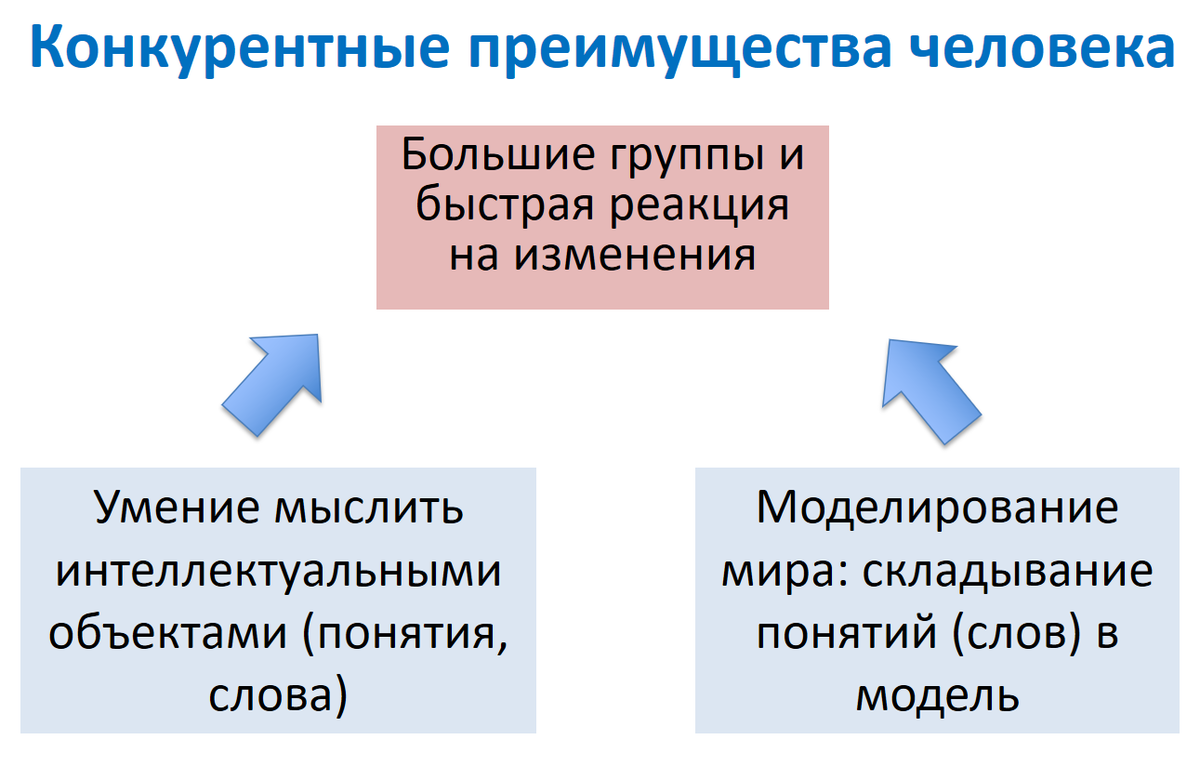 Физический и абстрактный миры | Жизнь по интересам | Дзен