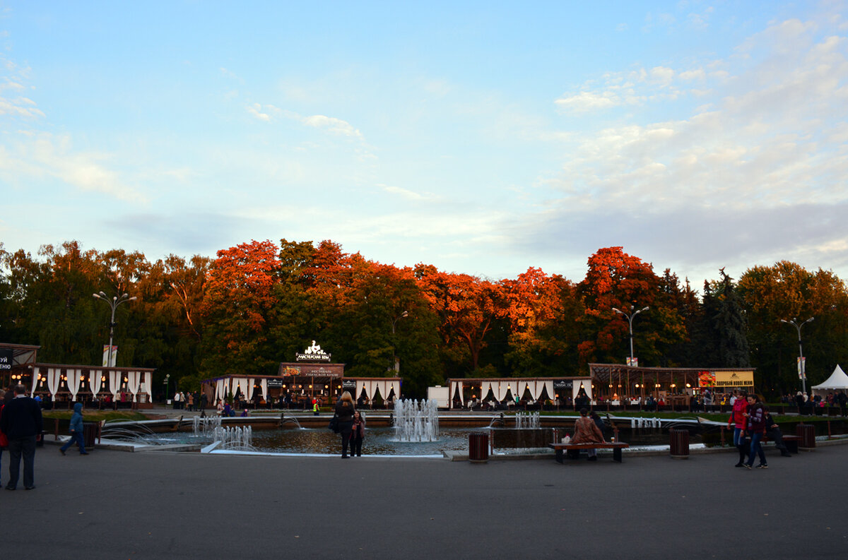 Парк сокольники в москве фото