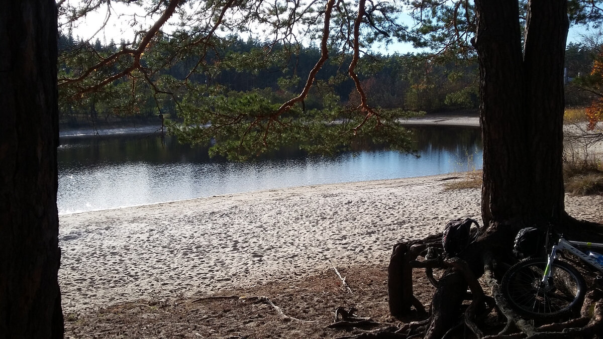 Это кадр с озера Чистое, в воронежском Бору. Находиться тут запрещено, неважно, пешком ты или на велосипеде. Через полчаса после этого фото подъехали инспекторы и попросили удалиться. Мы отделались предупреждением.