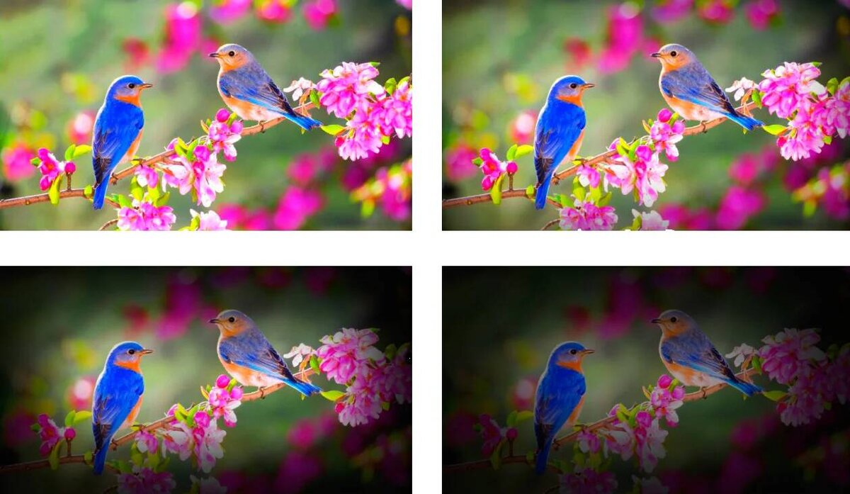 Постепенное ухудшение зрения при глаукоме