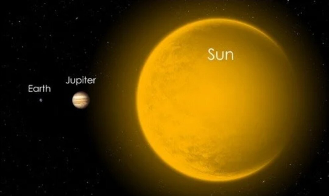 GISMETEO: Ученые раскрыли тайну танца подсолнухов - События | Новости погоды.