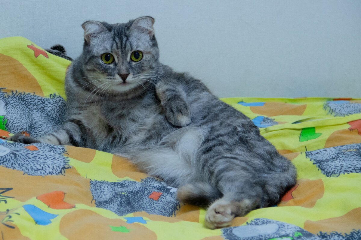 Бусяяятина!