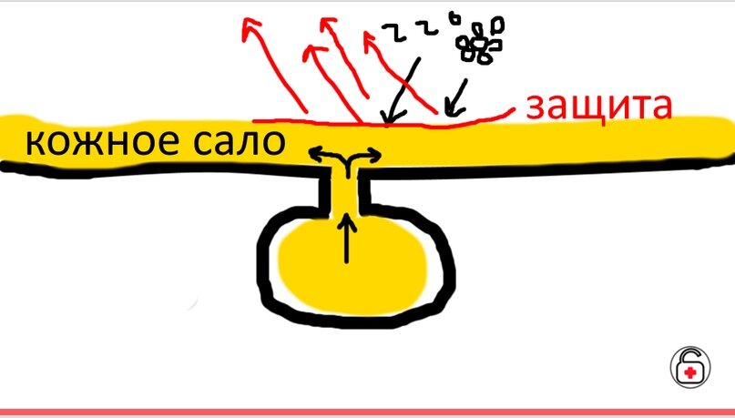 всё работает - микробы и вредные факторы  нас не тревожат