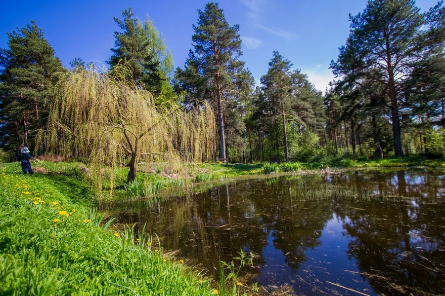 Петрозаводск Государев сад фото