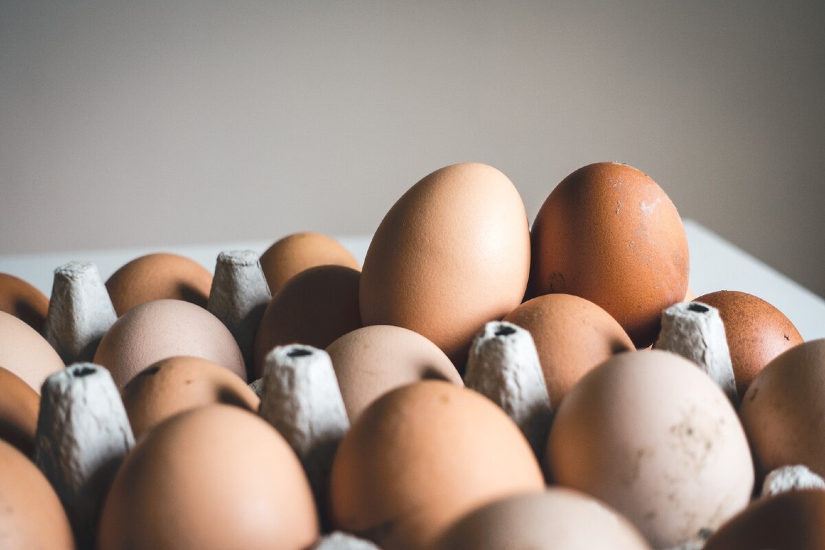 Можно ли есть яйца каждый день? Результаты последнего исследования