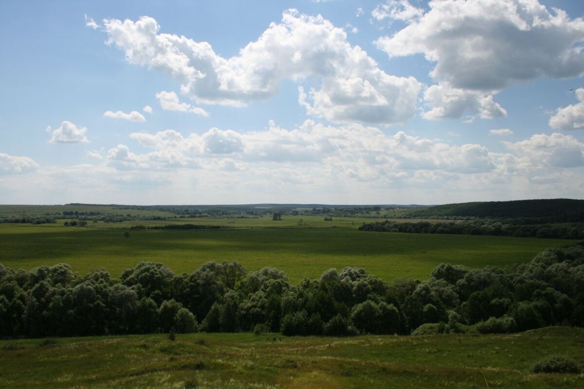 Восточно европейская равнина фото 4 класс