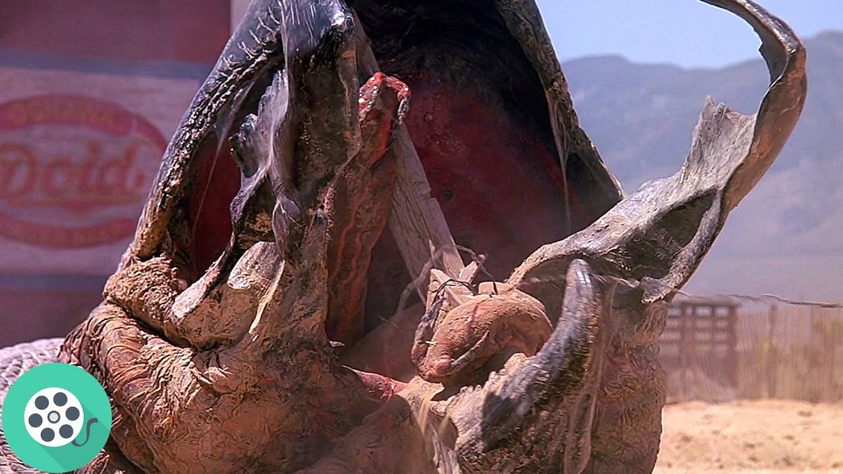 Фото взято из источника: https://clck.ru/Jzv6F