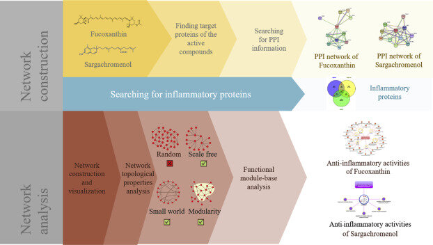 The Sourse: sciencedirect.com/science/article/pii/S2452316X18301522 