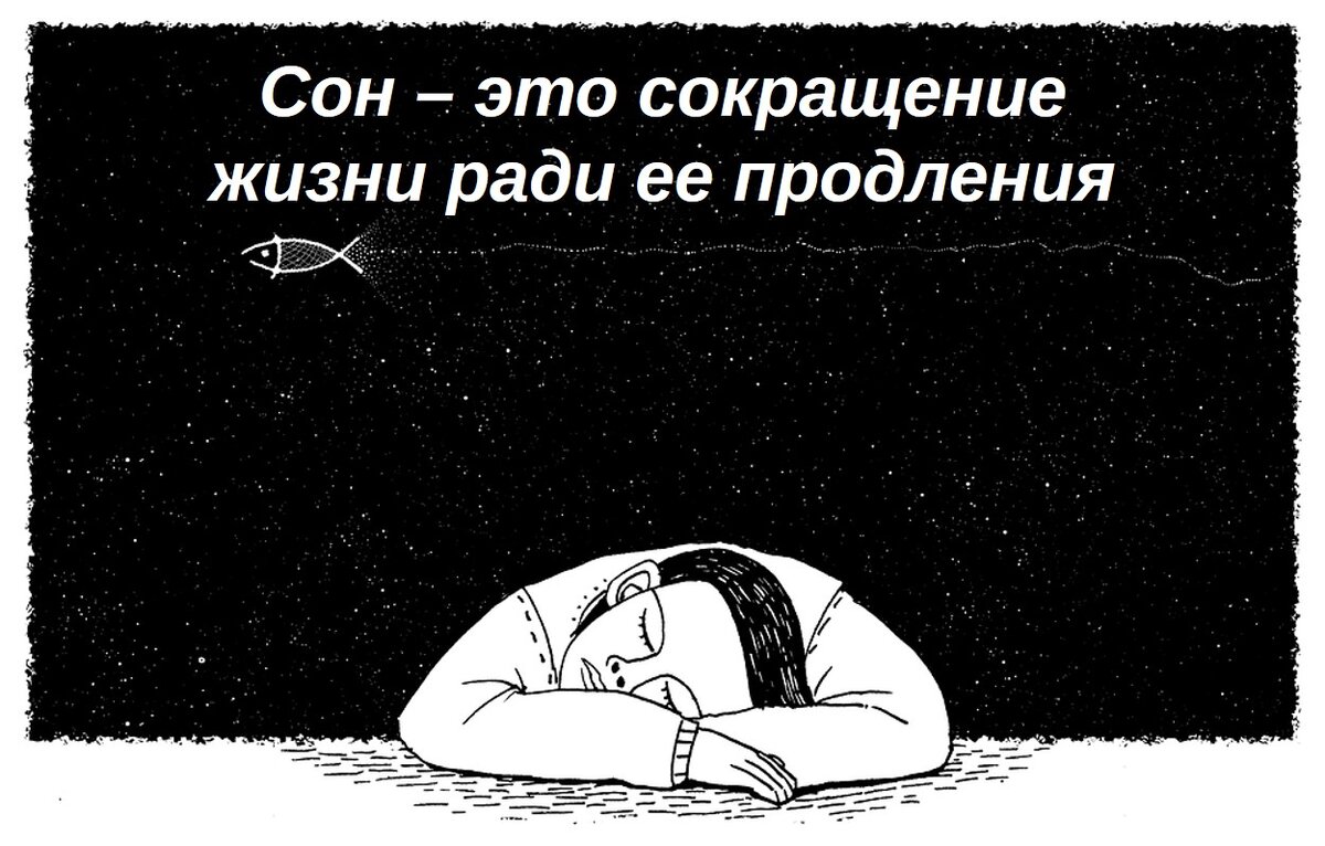 Порция мудрости
