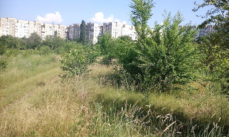 Поле и наши дома