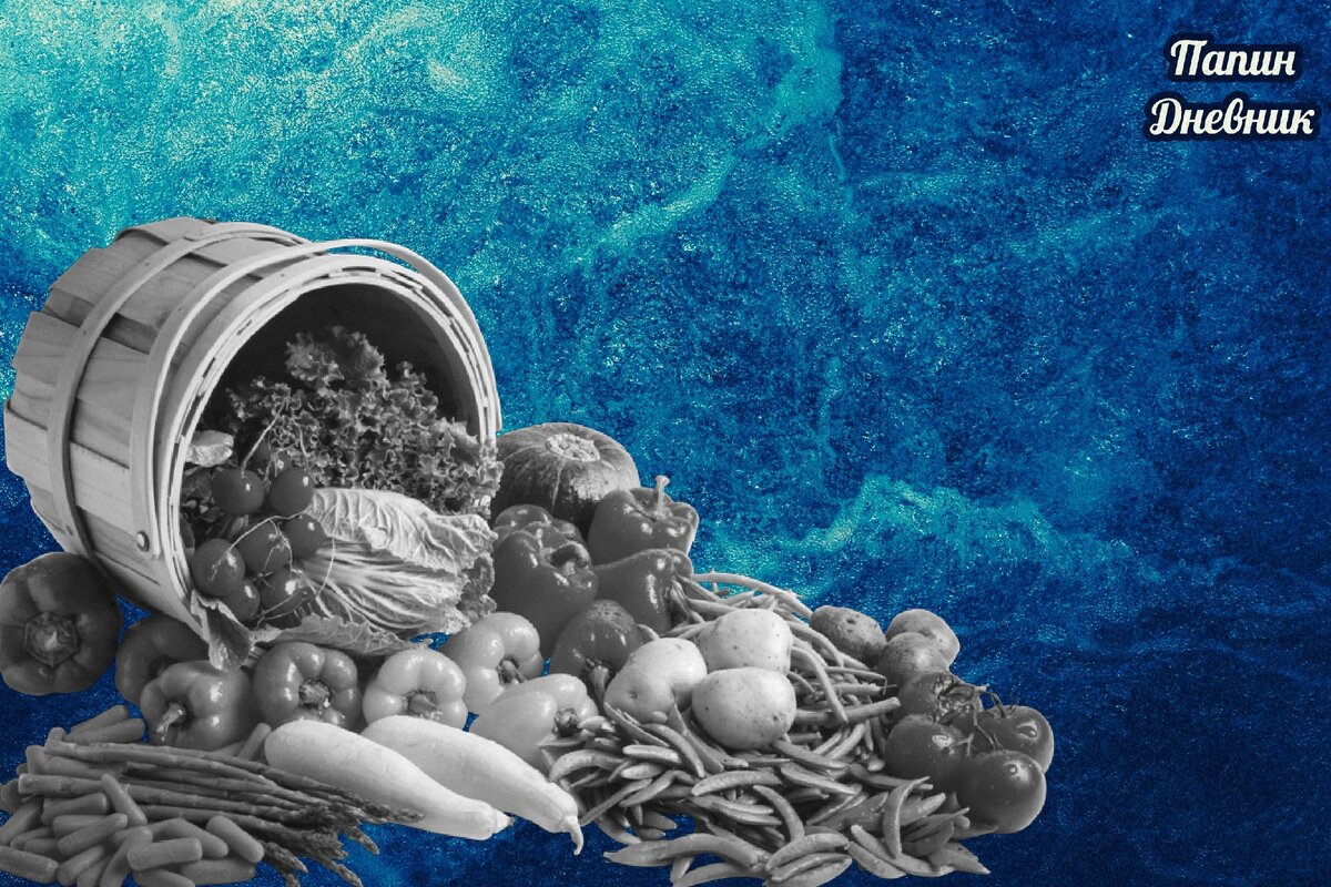 Подпишитесь на канал и поставьте лайк! Вы поможете развитию канала! Заранее спасибо!