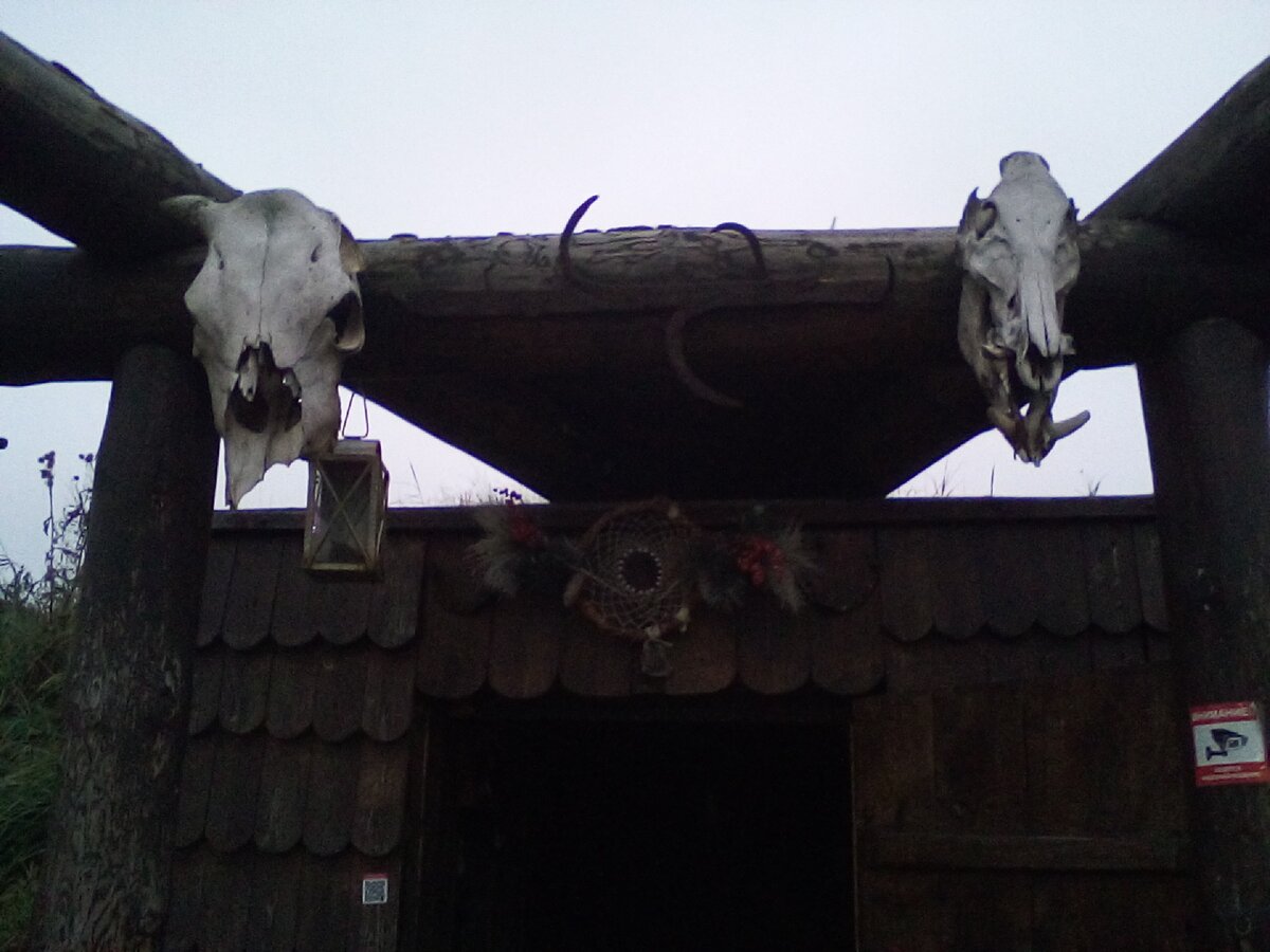 Фото автора.