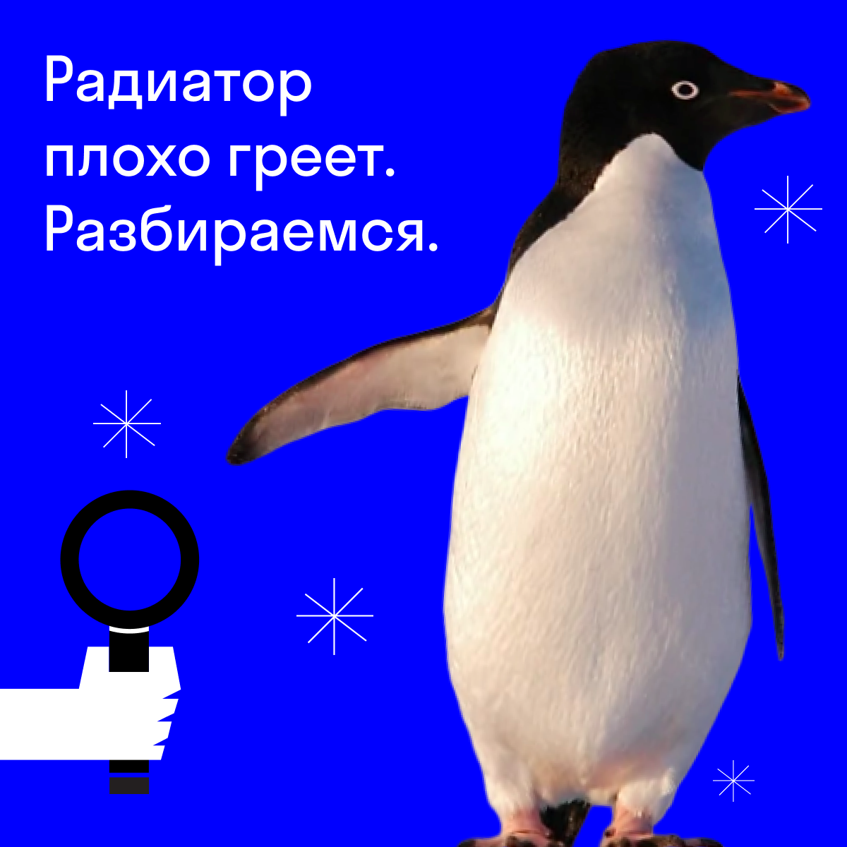 пингвин привык жить в холодрыге