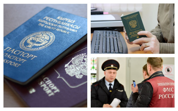 Фото взято из открытого источника в интернете.