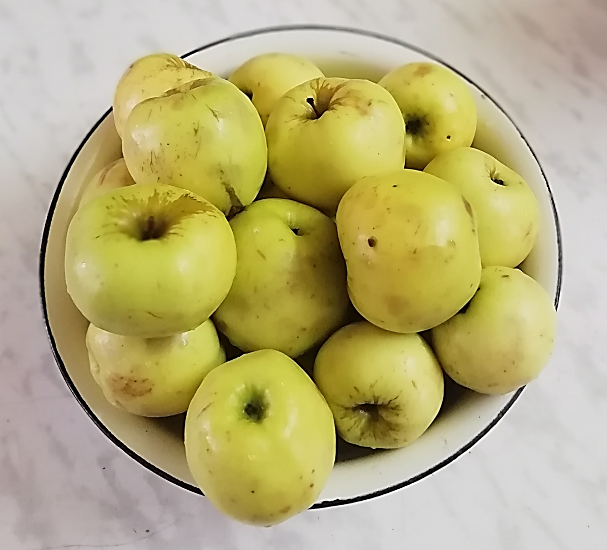 Яблоня антоновка десертная
