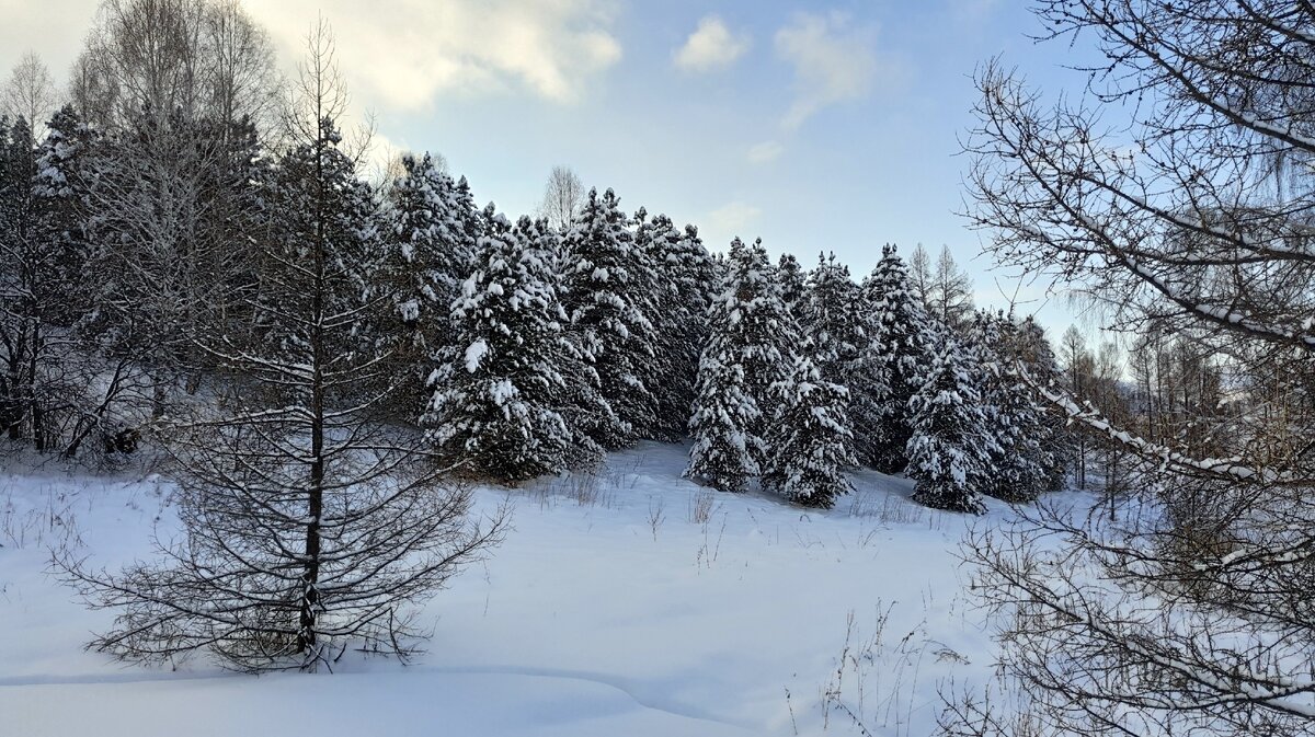 фото Hello Derevnia