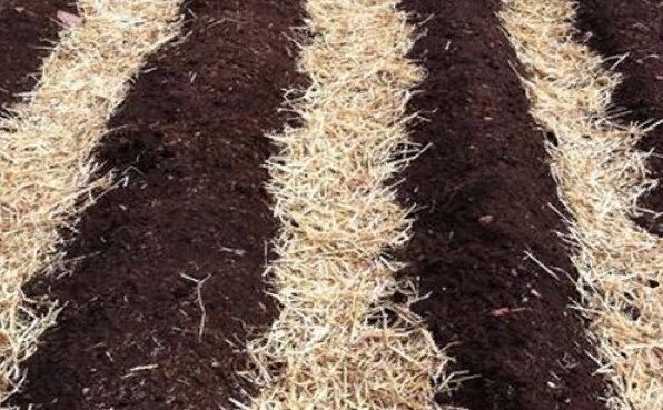 Я заполняю чаще всего соломой