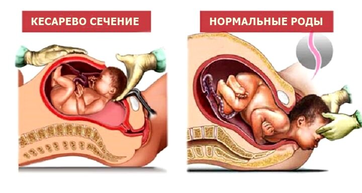 Поиск по сайту