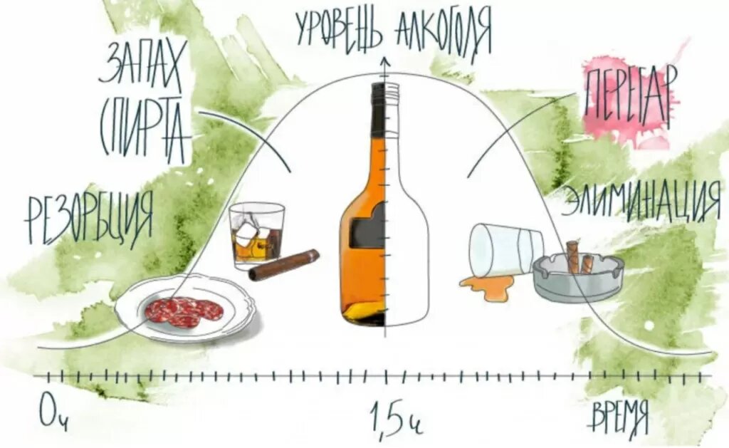 Запах перегара. Запах перегара. Запах алкоголя изо рта. Как убрать перегар от алкоголя. Чем перебить запах перегара.