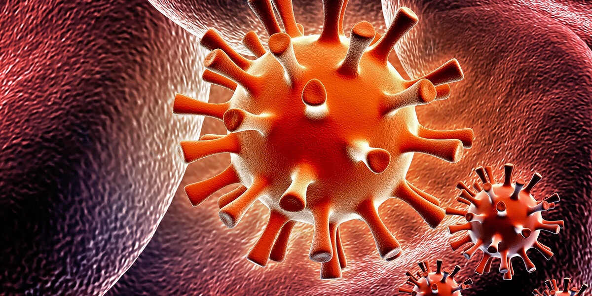 Источник фото: www.duniamedika.com