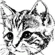 25 лет, 4 мес трезвости