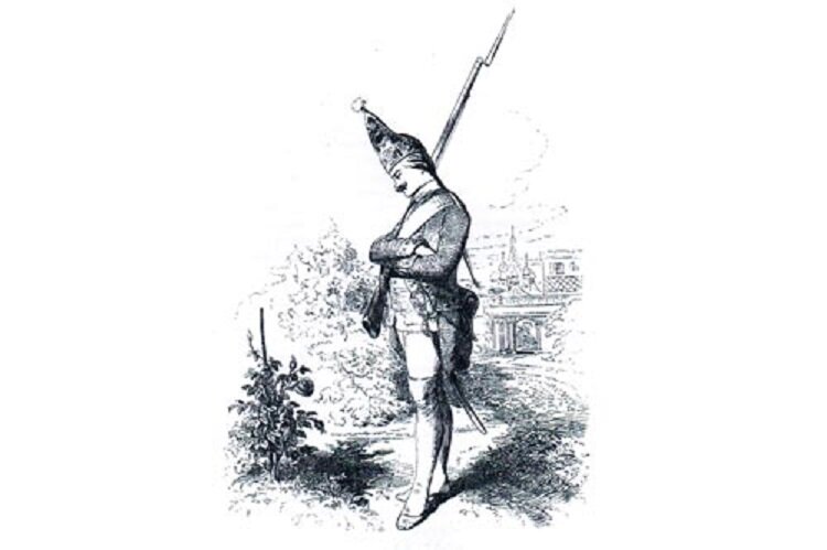 Понравившийся Екатерине II цветок давно завял, куст погиб, а верный часовой продолжал его охранять. Рисунок из «Живописного сборника», 1858.