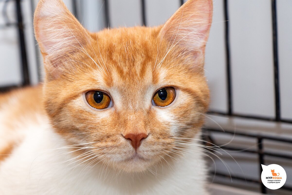 Саншайн, 8 месяцев