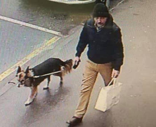 Пес журналистка. Хищение собаки. Украли собаку картинки. Хищение собаки. Хищение собаки.