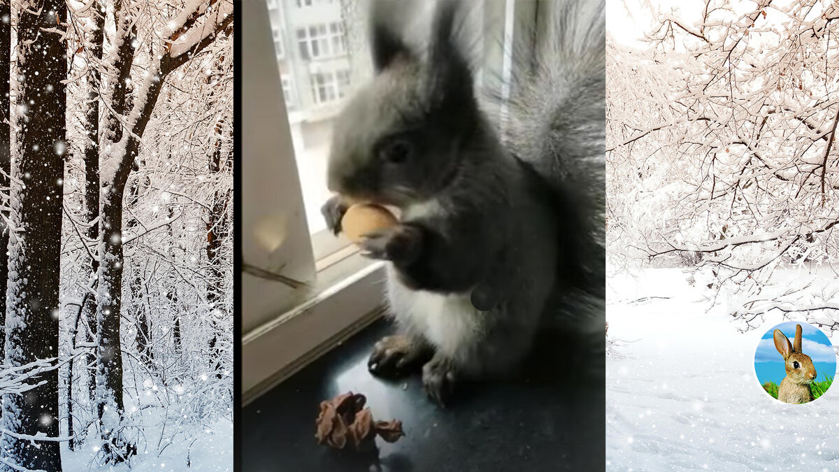 Ставьте лайки, подписывайтесь на канал. Вам не сложно, а мне приятно.