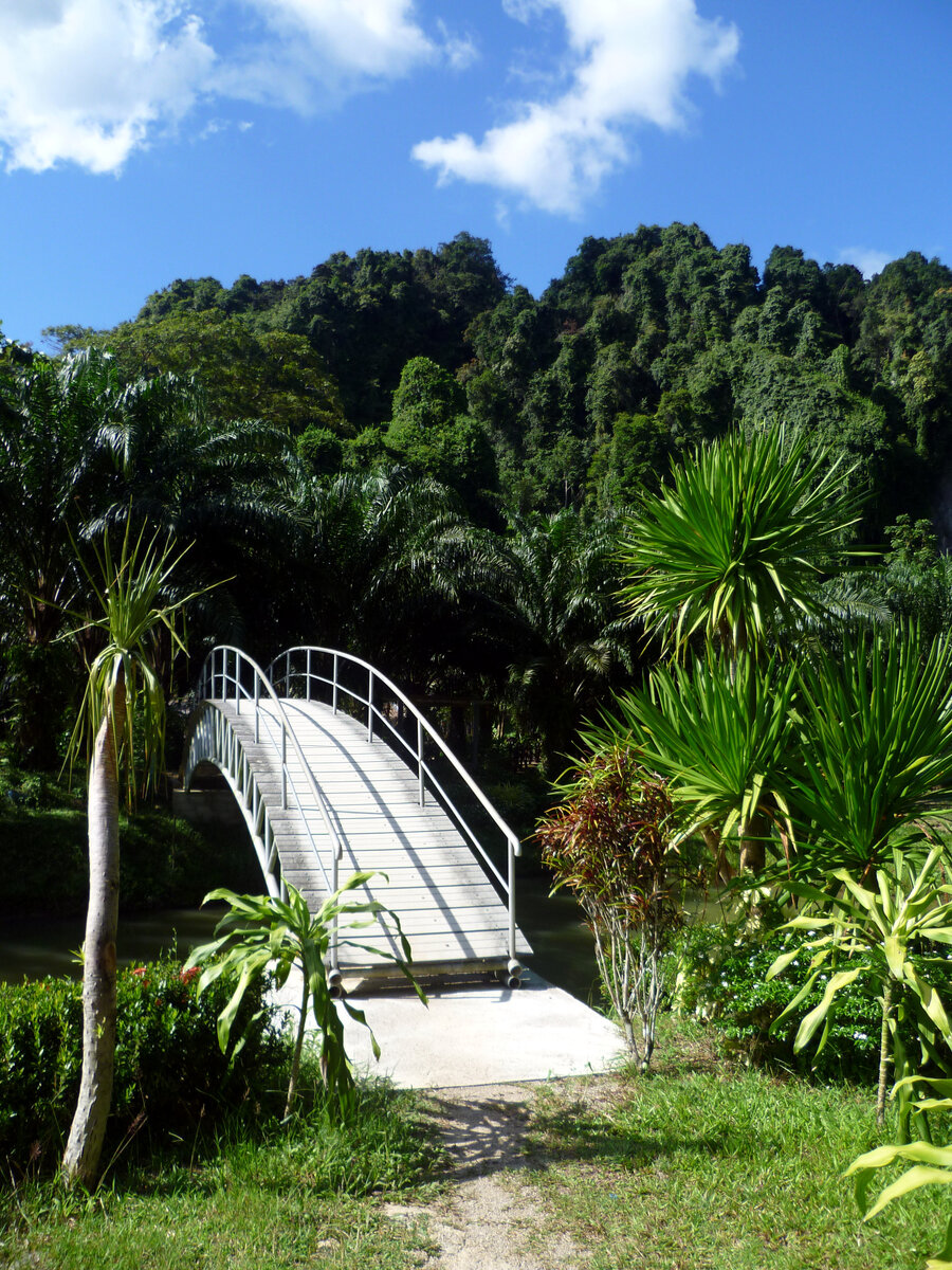 Природа Таиланда