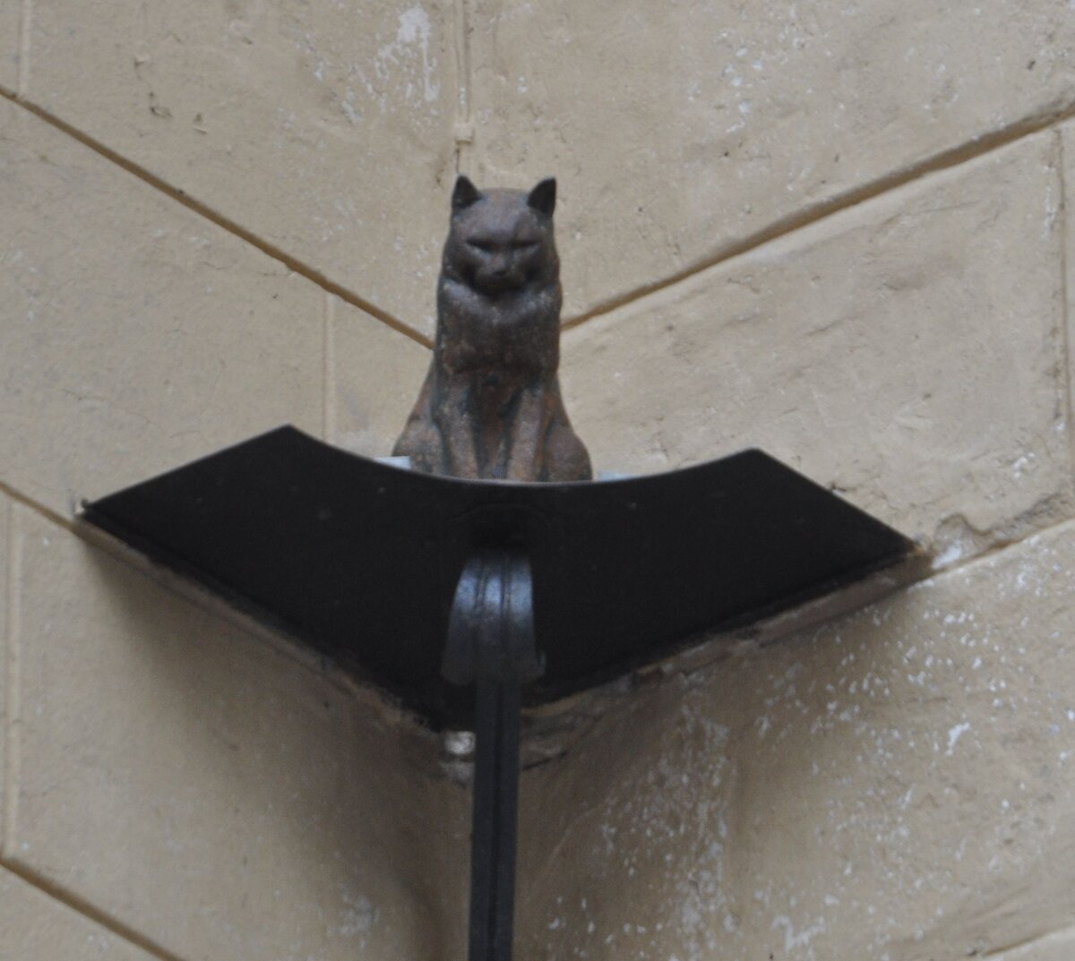 Фото Людмилы Калясиной