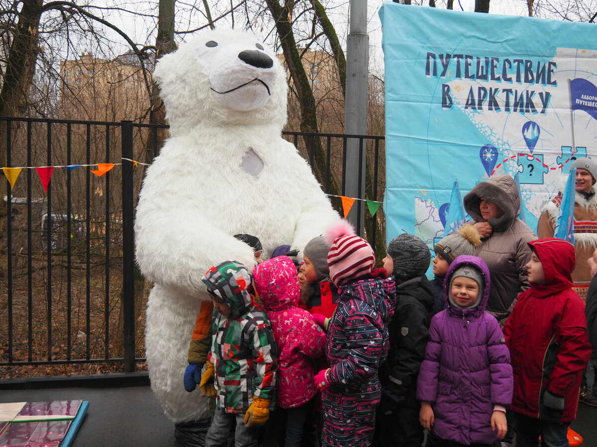 Большая Арктическая Экспедиция. Путешествие в Арктику