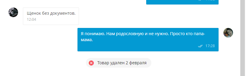 Фото с личной переписки. Изображений родителей щенка так и не дождалась. 