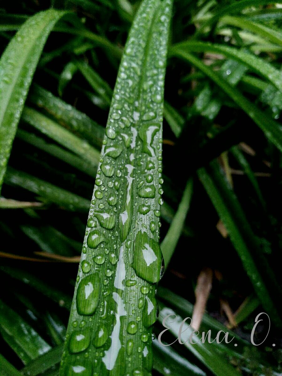 Фото из личного архива