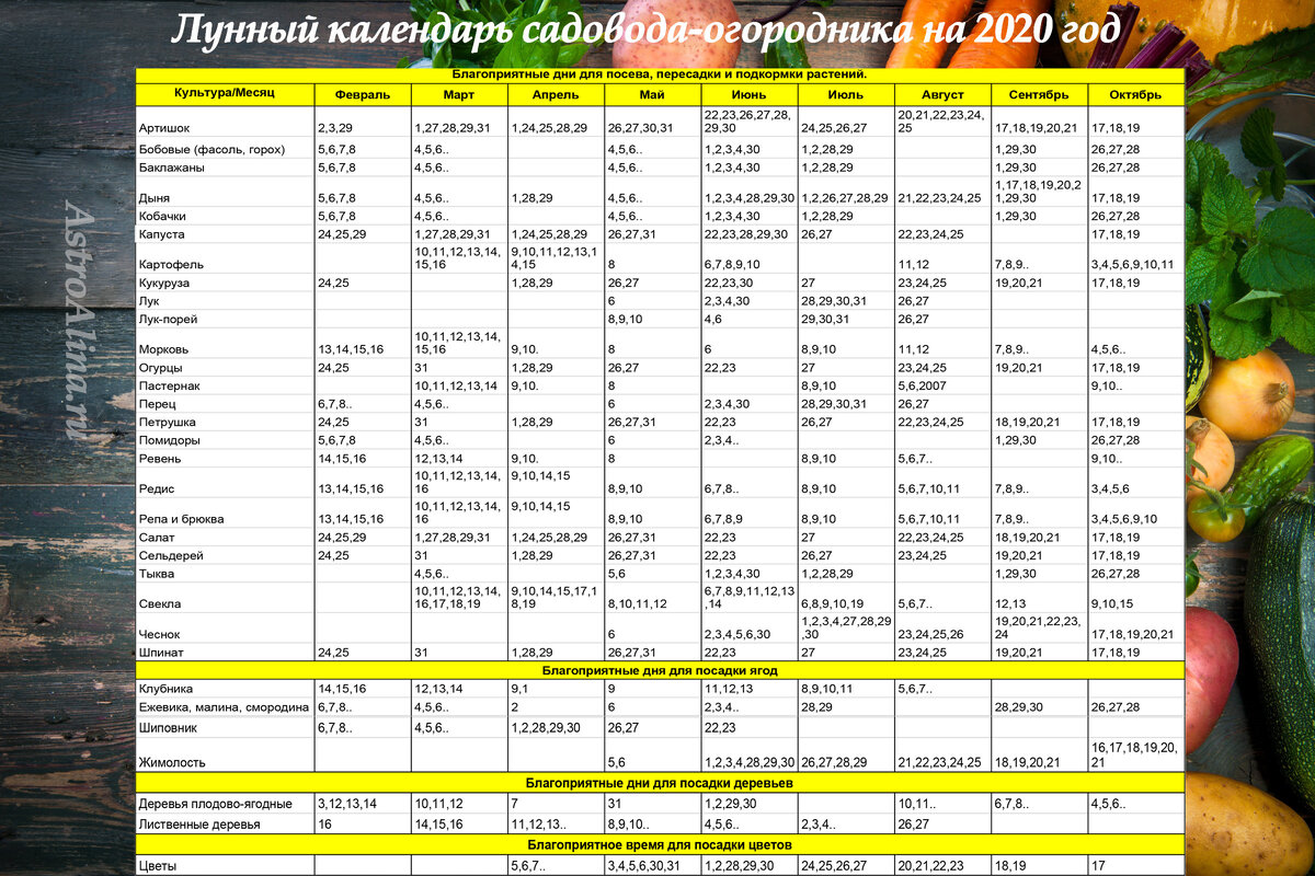 Лунно посевной календарь садовода