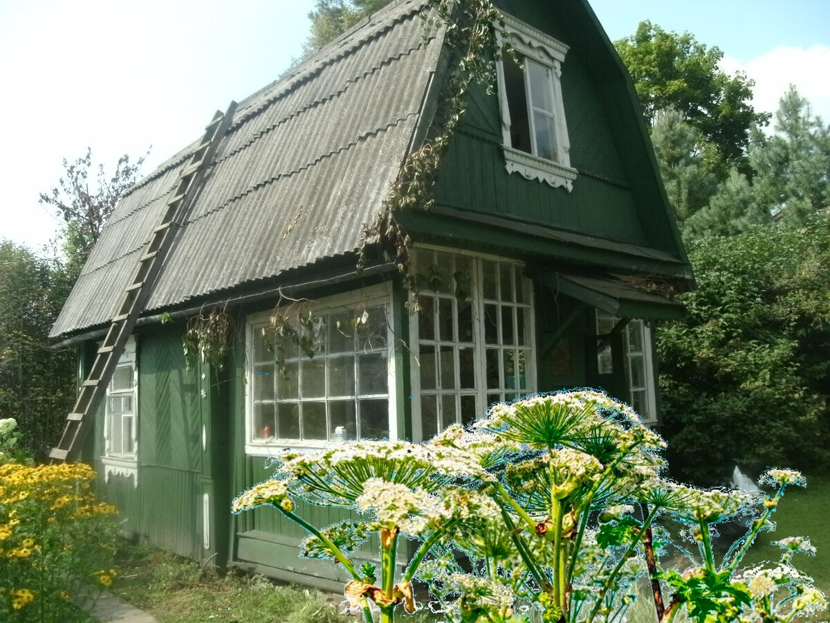 Коллаж авторский