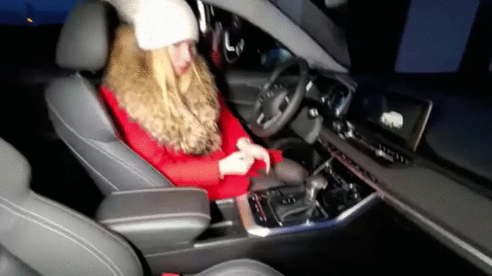 Лиса Рулит. В салоне Чери Тигго 8