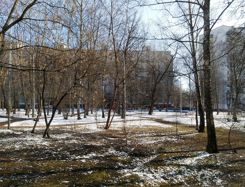 1 марта
