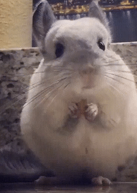 Изображение представлено в рамках свободного цитирования