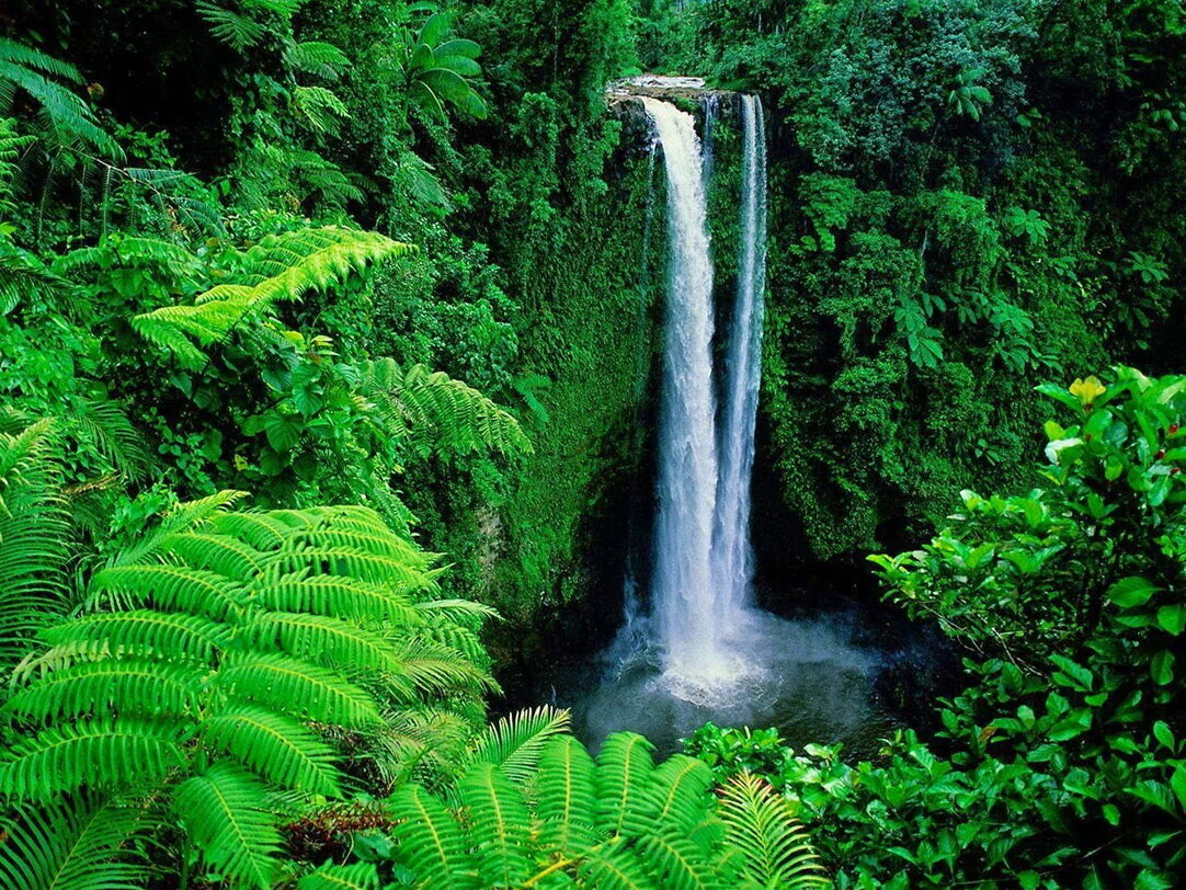 Если вам одиноко и не с кем провести время, наш сайт знакомств подберет вам пару рядом с вами, которые согласны на кратковременные встречи для секса или долгосрочные отношения. Тысячи одиноких людей разного возраста, пола, национальностей ждут вас. Ссылка на сайт в конце рассказа