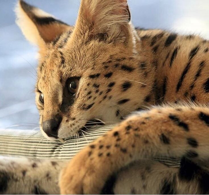  80 000 - 3 500 000 руб. 