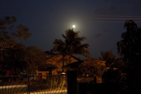 Фото: Flickr.com/cprogrammer 