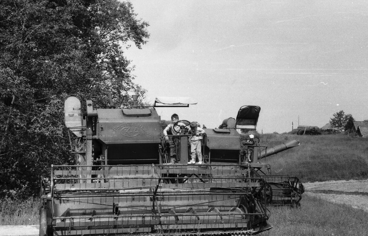 Фото из Яндекс Картинок